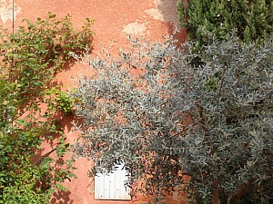 Thumbnail of roussillon27avril16h12.jpg