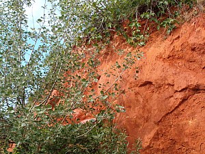 Thumbnail of roussillon27avril16h31.jpg