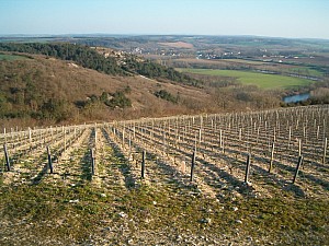 Thumbnail of irancy12mars17h21.jpg