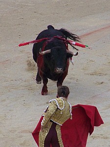 Thumbnail of nimes25mai19h12.jpg