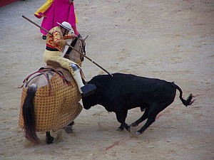 Thumbnail of nimes25mai19h28.jpg