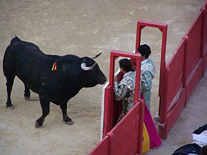 Thumbnail of nimes25mai19h30.jpg