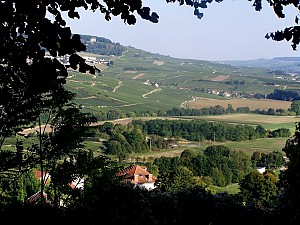 Thumbnail of chatillonsurmarne20septembre16h26.jpg