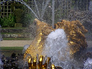 Thumbnail of versailles5juillet15h47.jpg