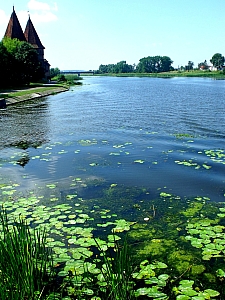 Thumbnail of malbork15juillet10h44.jpg