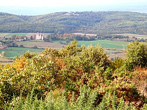 Thumbnail of cantal20octobre10h34.JPG