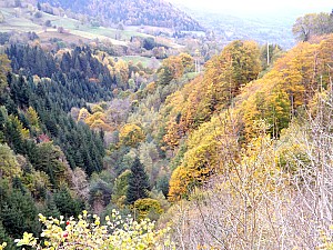 Thumbnail of cantal20octobre9h26.JPG