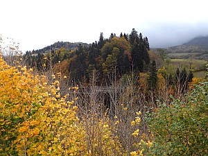 Thumbnail of cantal20octobre9h30.JPG