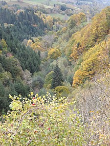 Thumbnail of cantal20octobre9h35.JPG