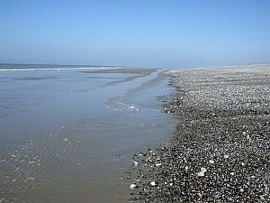 Thumbnail of cayeux19mars14h34.JPG