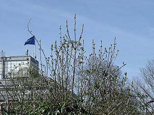 Thumbnail of strasbourg1avril11h32.jpg