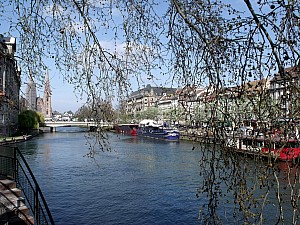 Thumbnail of strasbourg31mars15h32.JPG