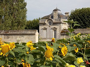 blerancourt27juillet18h11.jpg