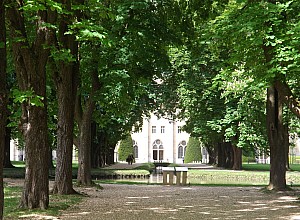 royaumont11mai11h45.jpg