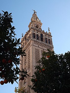 seville_19fevrier12h37.jpg