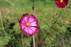 Thumbnail of blerancourt3septembre14h14.JPG