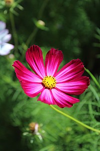 Thumbnail of blerancourt3septembre14h24.JPG