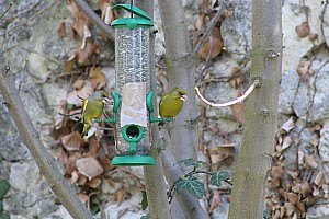 Thumbnail of fismes11avril13h08.JPG