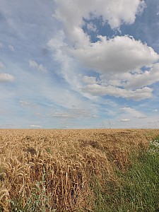 Thumbnail of fismes1aout16h40.jpg