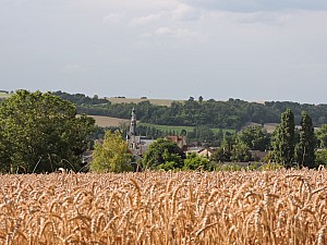 Thumbnail of fismes1aout17h31.jpg