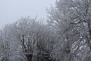 Thumbnail of fismes31decembre11h15.JPG