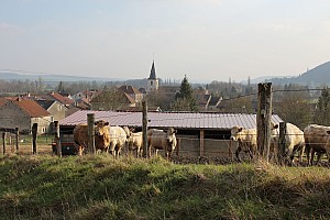 Thumbnail of greux13mars16h20.jpg