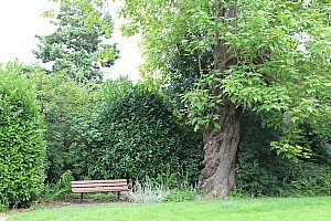 Thumbnail of laon11aout15h56.JPG