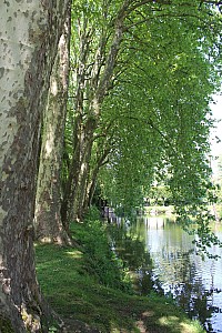 Thumbnail of coulommiers19mai14h16.jpg