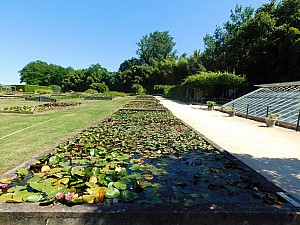 Thumbnail of Le_Temple_sur_Lot_01_juin.jpg