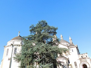 Thumbnail of Perigueux_06_juin.jpg