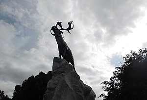 Thumbnail of beaumont_hamel_003.jpg