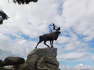 Thumbnail of beaumont_hamel_004.jpg