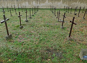 Thumbnail of cadillac_010.jpg