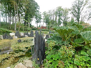 Thumbnail of champ_de_bataille_007.jpg