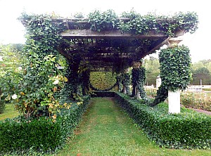 Thumbnail of champ_de_bataille_011.jpg