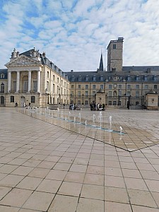 Thumbnail of dijon_001.jpg