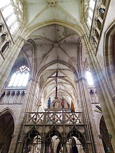 Thumbnail of lepine_004.JPG