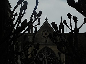 Thumbnail of meaux_001.JPG