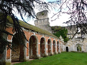 Thumbnail of mortimer_006.jpg