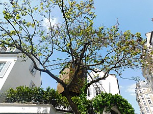 Thumbnail of paris_035.jpg