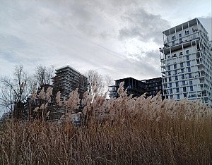 Thumbnail of paris_041.jpg