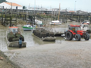 Thumbnail of port_du_bec_001.jpg