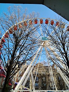 Thumbnail of reims_001.jpg