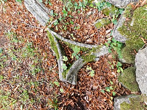 Thumbnail of saint_wandrille_002.jpg