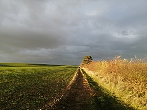 Thumbnail of ventelay_004.jpg