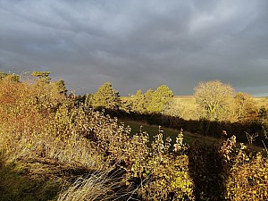 Thumbnail of ventelay_005.jpg