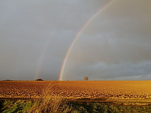 Thumbnail of ventelay_007.jpg