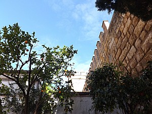 DSCF6245.jpg