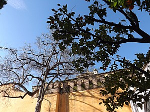 DSCF6246.jpg