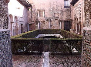 DSCF6247.jpg